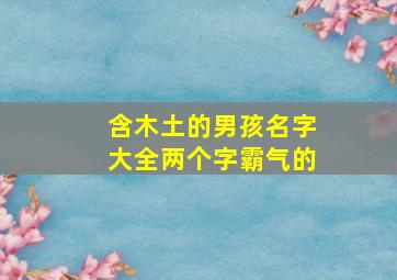 含木土的男孩名字大全两个字霸气的