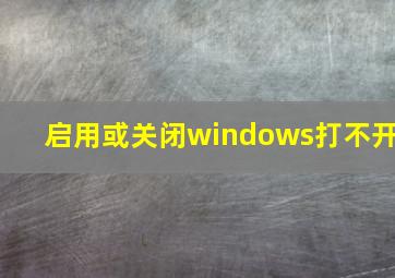 启用或关闭windows打不开