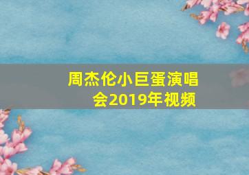 周杰伦小巨蛋演唱会2019年视频