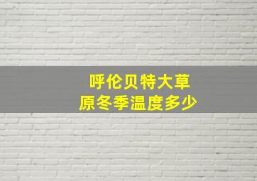 呼伦贝特大草原冬季温度多少