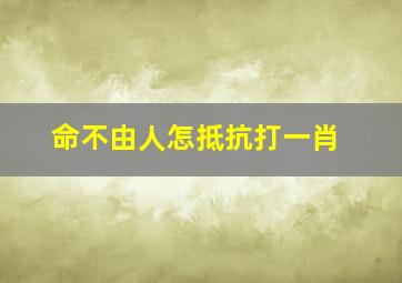 命不由人怎抵抗打一肖