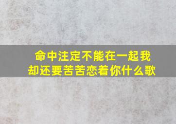 命中注定不能在一起我却还要苦苦恋着你什么歌