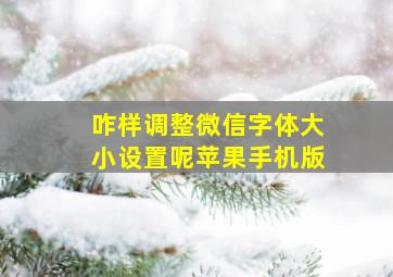 咋样调整微信字体大小设置呢苹果手机版