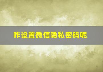 咋设置微信隐私密码呢