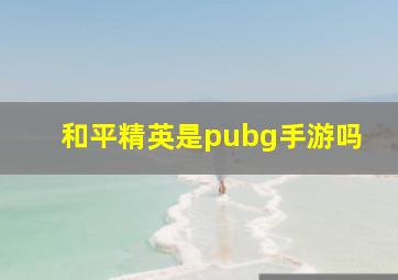 和平精英是pubg手游吗