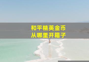 和平精英金币从哪里开箱子