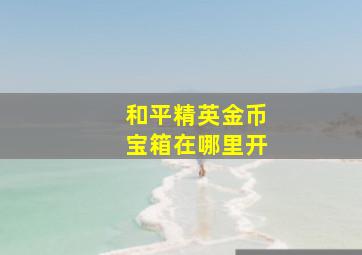 和平精英金币宝箱在哪里开