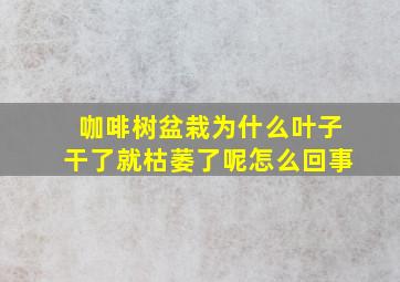 咖啡树盆栽为什么叶子干了就枯萎了呢怎么回事