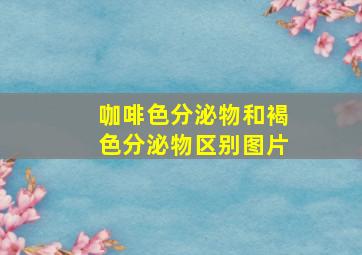 咖啡色分泌物和褐色分泌物区别图片