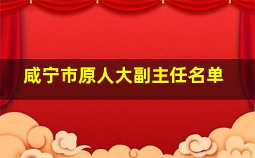 咸宁市原人大副主任名单