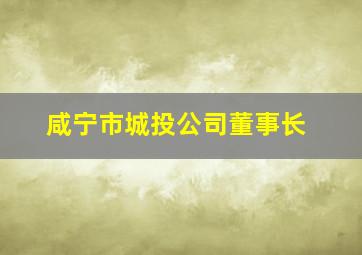 咸宁市城投公司董事长