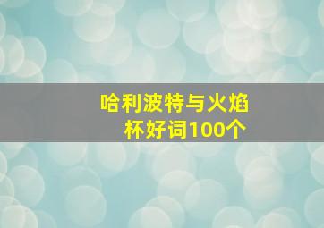 哈利波特与火焰杯好词100个