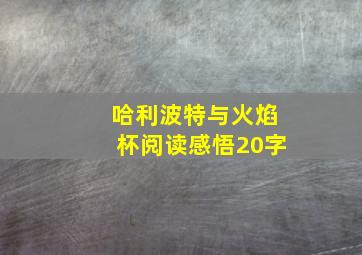 哈利波特与火焰杯阅读感悟20字