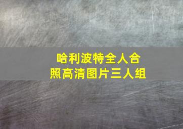 哈利波特全人合照高清图片三人组