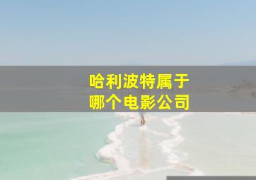 哈利波特属于哪个电影公司