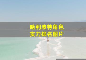 哈利波特角色实力排名图片