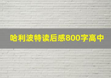 哈利波特读后感800字高中