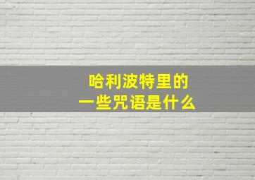 哈利波特里的一些咒语是什么