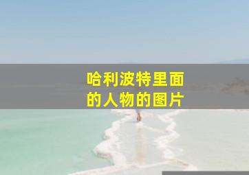 哈利波特里面的人物的图片