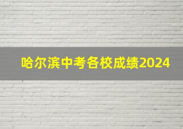 哈尔滨中考各校成绩2024