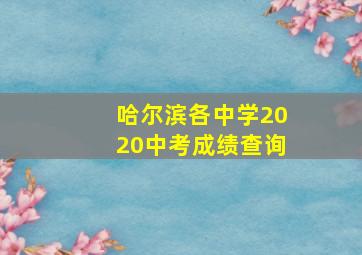 哈尔滨各中学2020中考成绩查询