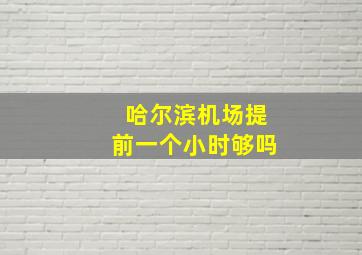 哈尔滨机场提前一个小时够吗