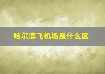 哈尔滨飞机场是什么区