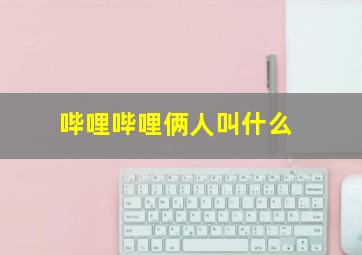 哔哩哔哩俩人叫什么