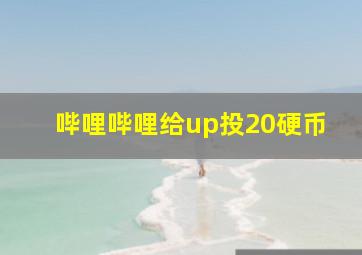 哔哩哔哩给up投20硬币