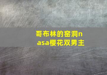 哥布林的窑洞nasa樱花双男主