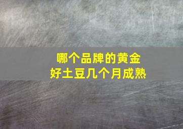 哪个品牌的黄金好土豆几个月成熟