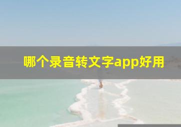 哪个录音转文字app好用