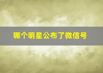 哪个明星公布了微信号