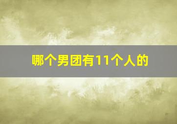 哪个男团有11个人的