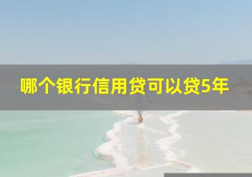 哪个银行信用贷可以贷5年