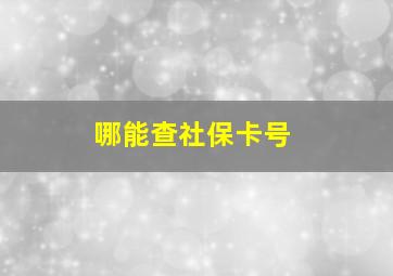 哪能查社保卡号