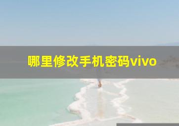 哪里修改手机密码vivo