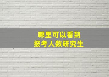 哪里可以看到报考人数研究生