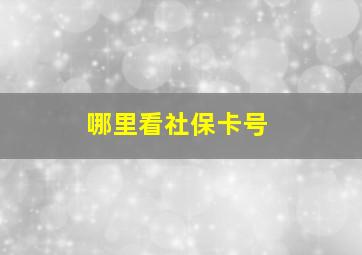 哪里看社保卡号