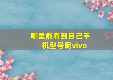 哪里能看到自己手机型号呢vivo