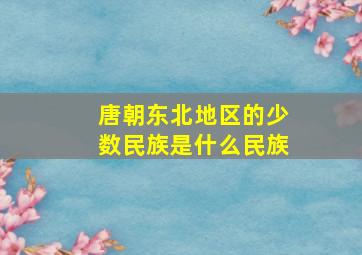 唐朝东北地区的少数民族是什么民族