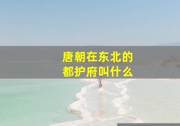 唐朝在东北的都护府叫什么