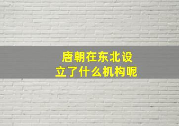 唐朝在东北设立了什么机构呢