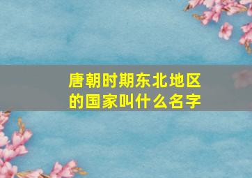 唐朝时期东北地区的国家叫什么名字