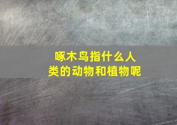 啄木鸟指什么人类的动物和植物呢