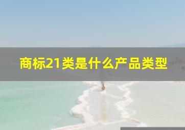 商标21类是什么产品类型