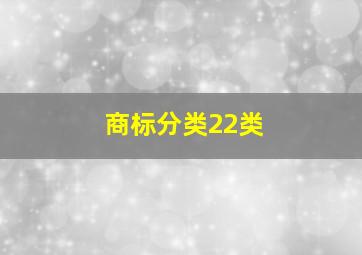 商标分类22类