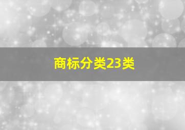 商标分类23类