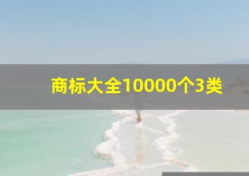 商标大全10000个3类