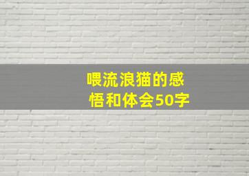 喂流浪猫的感悟和体会50字